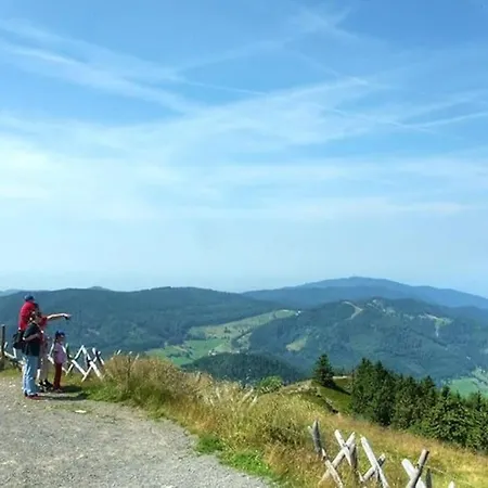 Apartmán Symphonie Eine Ode An Harmonie Und Erholung Schluchsee