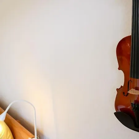 公寓 Symphonie Eine Ode An Harmonie Und Erholung 施卢赫湖